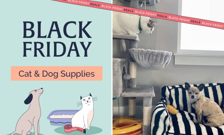 petshop black friday deals